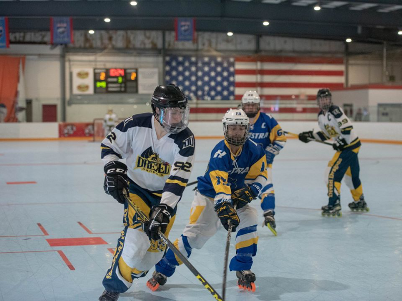 Roller Hockey Wins Four Games in MCRHL Action - Lindenwood University  Athletics