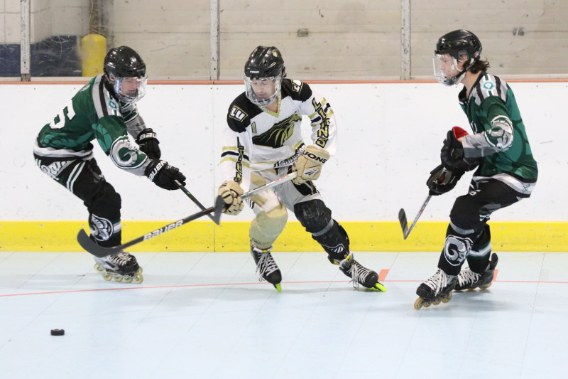 Southeastern Collegiate Roller Hockey League